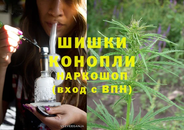 спиды Каменка