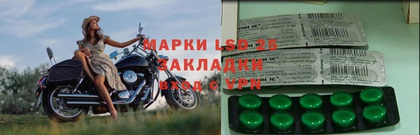 спиды Каменка