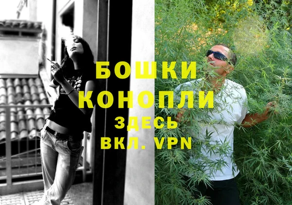 молекула духа Каменногорск
