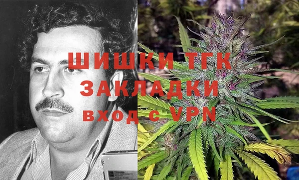спиды Каменка