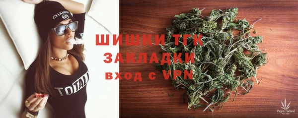 молекула духа Каменногорск