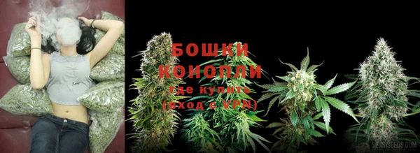 молекула духа Каменногорск