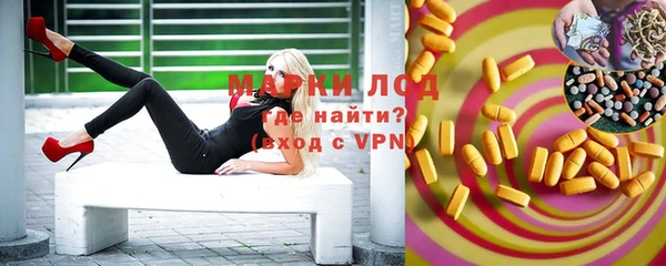 молекула духа Каменногорск