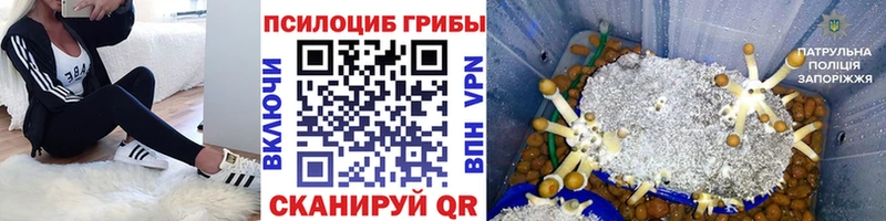 Галлюциногенные грибы мицелий  Купить где  Десногорск 